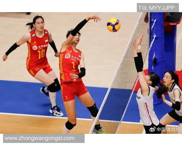 杭州排球队的团队协作探讨与排球竞技精神的深度融合分析